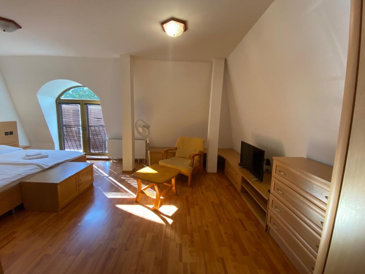 Hotel David Velke Bosany Zewnętrze zdjęcie