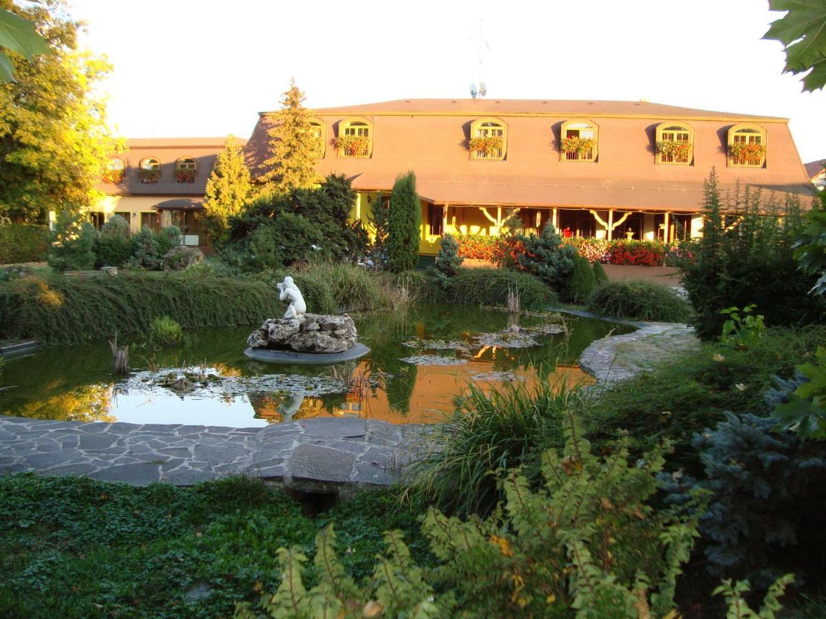 Hotel David Velke Bosany Zewnętrze zdjęcie