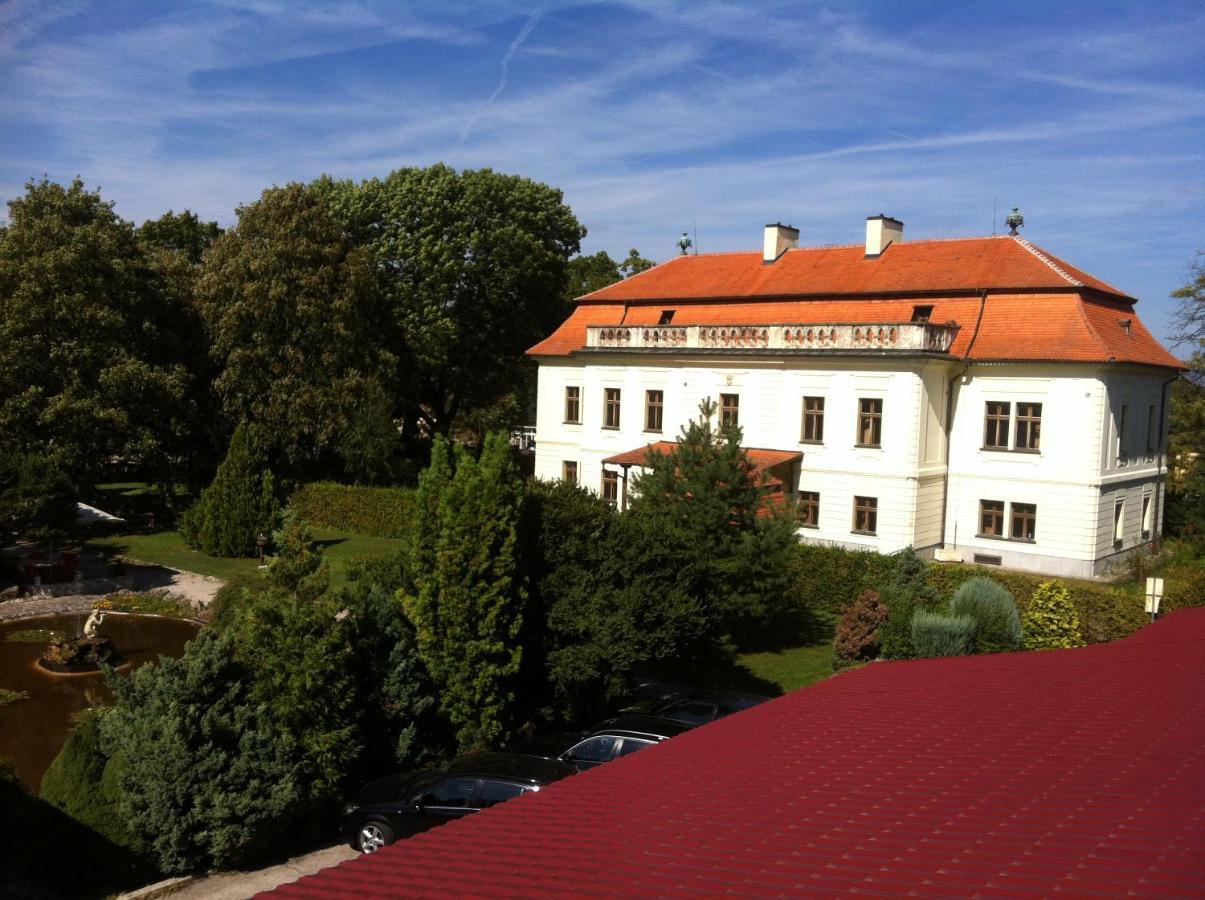 Hotel David Velke Bosany Zewnętrze zdjęcie