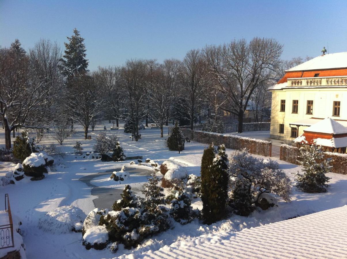 Hotel David Velke Bosany Zewnętrze zdjęcie