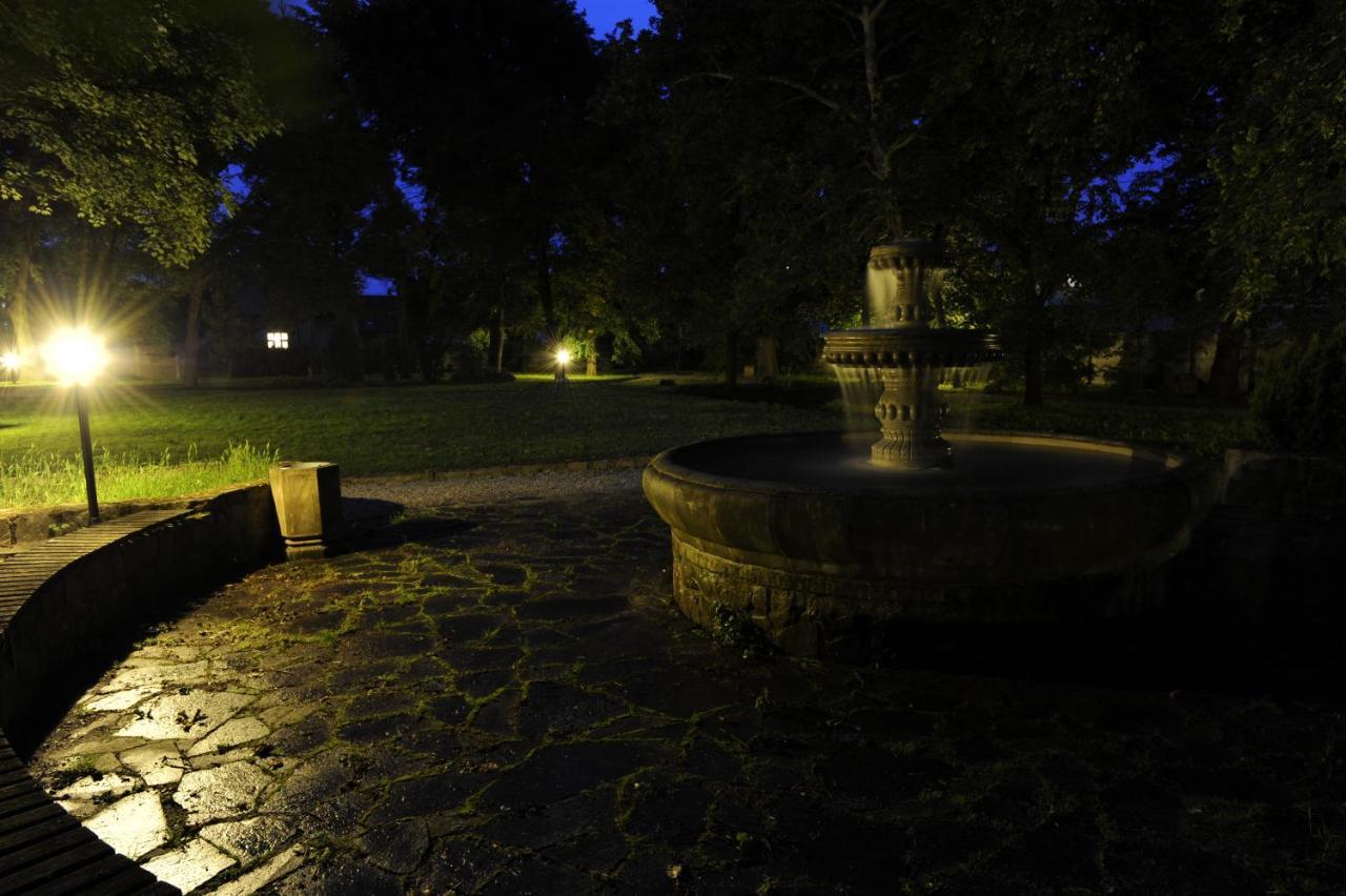 Hotel David Velke Bosany Zewnętrze zdjęcie