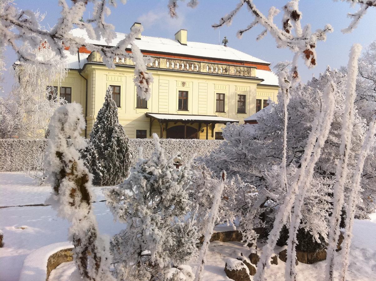 Hotel David Velke Bosany Zewnętrze zdjęcie