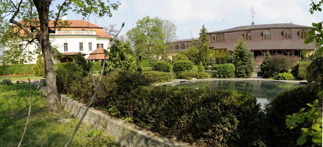 Hotel David Velke Bosany Zewnętrze zdjęcie