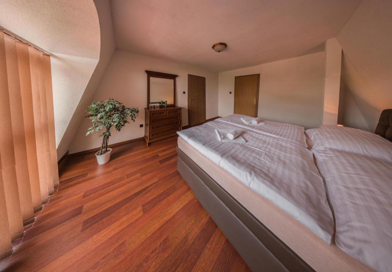 Hotel David Velke Bosany Zewnętrze zdjęcie