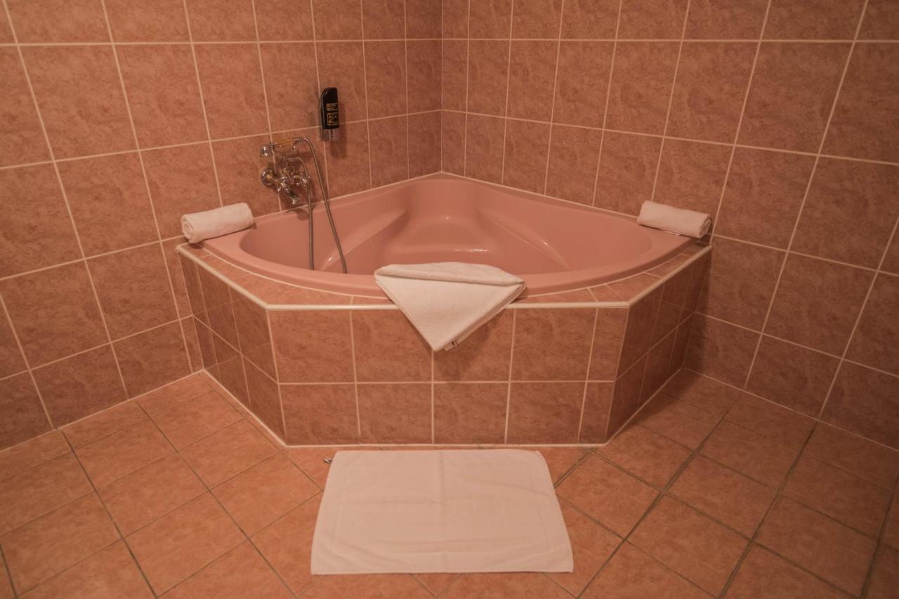 Hotel David Velke Bosany Zewnętrze zdjęcie